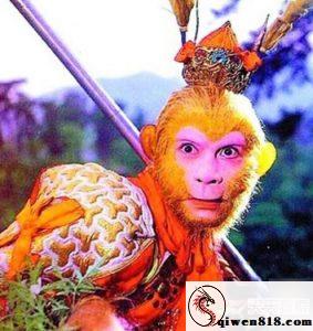 生活:当批评成为镜子时