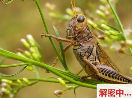 艺术:何与就这样痞帅——热搜背后的社会透视