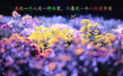 公积金新用途实测：生活省钱新攻略
