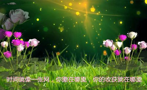 莫离演出！我的恋爱脑朋友如何用表情语言表达